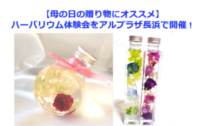 滋賀県長浜市でハーバリウム体験会の開催！母の日におしゃれなオリジナルギフトを作ろう！