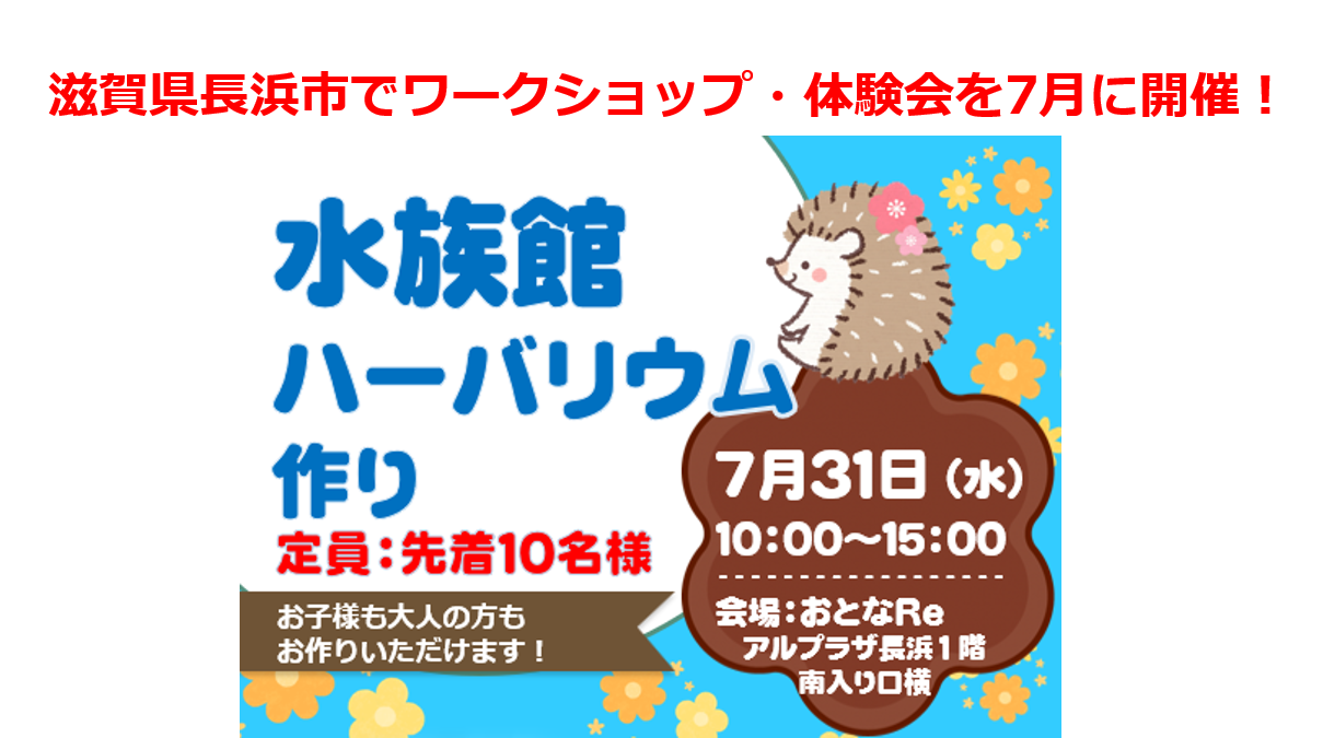 滋賀県長浜市でワークショップ・体験会を7月に開催！水族館ハーバリウム作り（熱帯魚・金魚・クリオネなど）