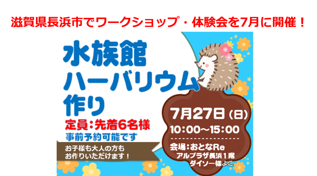 滋賀県長浜市でワークショップ・体験会を7月に開催!水族館ハーバリウム作り(熱帯魚・金魚・クリオネなど)